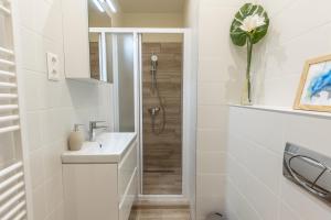 Comfort Zone Apartment