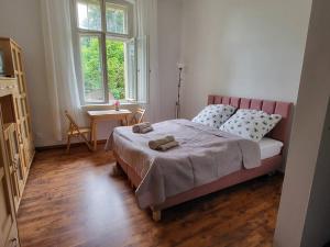 Apartament-Kawalerka przy Parku Zdrojowym