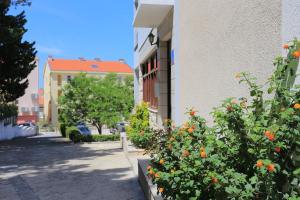 Studio Baska Voda 6773c