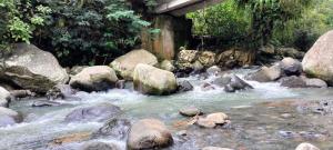 Magical Breeze Cabin