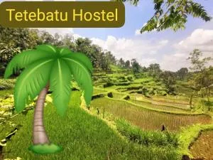 Tetebatu Hostel - Selong