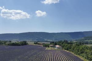 Maisons de vacances La Petite Reine Du Ventoux : photos des chambres