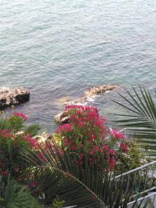 Sea Dream Villa Studio above the sea