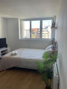 Appartements Studio cosy rue Taylor, wifi, 2 pers : photos des chambres