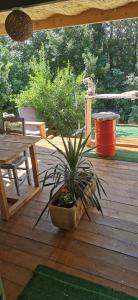 Maisons de vacances La Petite Reine Du Ventoux : photos des chambres