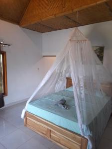 THE NYAMO surfschool & stay