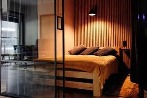 Apartament Incognito Rynek - 巴拉诺夫桑多米尔斯基