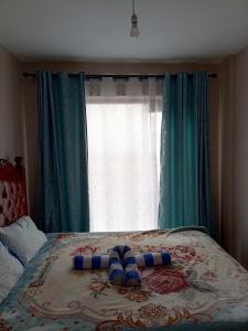 Secure 1 bedroom + lounge & 24hr cafeteria service