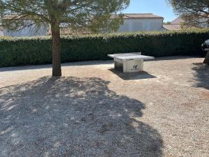 Maisons de vacances Les Amareyeurs - Ile d'Oleron - Maison classee 3 etoiles avec piscine - Clim - Velos : photos des chambres