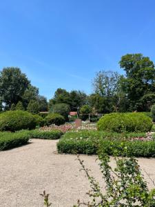 Dedek Park - historyczny dworek w pięknym Parku Skaryszewskim obok Stadionu Narodowego