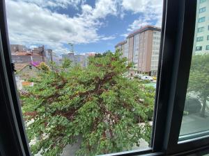 Zona Tranquila y Céntrica