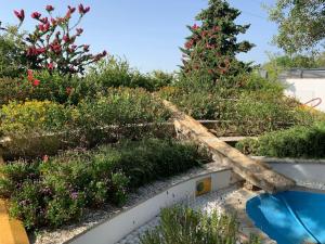 Especial familia hasta 16 pax Piscina