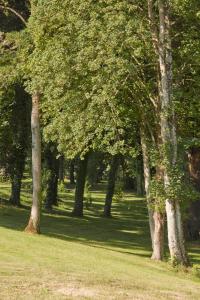 Hotels DOMAINE LE MEZO : photos des chambres