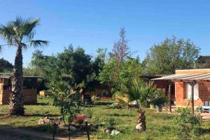 Maisons de vacances Maisonnette a la campagne riviere SPA et detente : photos des chambres