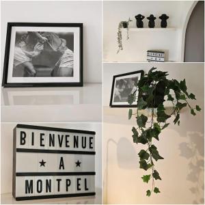 Appartements Ovalie ! Spacieux T3 lumineux : photos des chambres