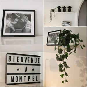 Appartements Ovalie ! Grand appart. 6 couchages avec parking : photos des chambres