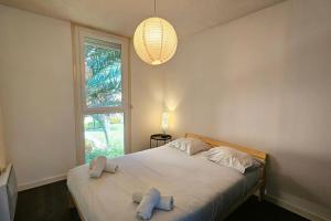 Appartements Ovalie ! Spacieux T3 lumineux : photos des chambres
