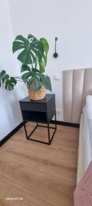 Apartament Moje Dąbrówno
