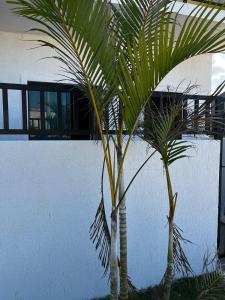 Meu Loft Barra Nova 4