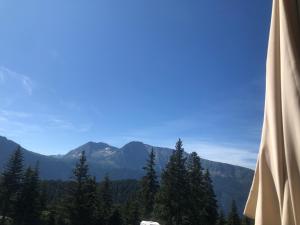 Appartements L Evidence, 4 a 5 couchages, 1 chambre, cellier, Meuble de Tourisme 3 etoiles, vue degagee, parking gratuit : photos des chambres