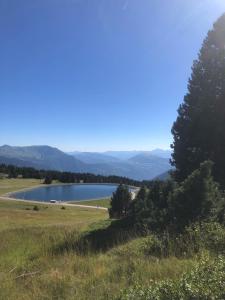 Appartements L Evidence, 4 a 5 couchages, 1 chambre, cellier, Meuble de Tourisme 3 etoiles, vue degagee, parking gratuit : photos des chambres