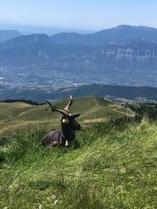 Appartements L Evidence, 4 a 5 couchages, 1 chambre, cellier, Meuble de Tourisme 3 etoiles, vue degagee, parking gratuit : photos des chambres