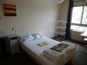 Appartements T3 lumineux 50 m² 5min de CHU FAC STADE TRAM : photos des chambres