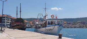 Apartmaji JURCAN Izola