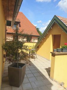 Appartements LE SCHMOUTZ: Charmant duplex entre Colmar et Mulhouse (1-4 pers) : photos des chambres