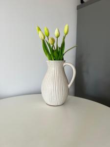 Marina apartment with Danube view and free garage, next to metro station