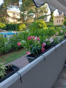 INDIGO APARTMENT Cavallino Treporti