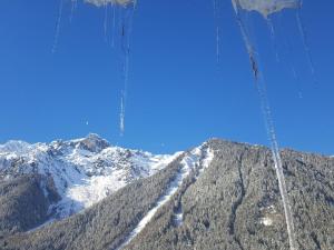 Magnifique appartement centre-ville - Animaux admis, WiFi - FR-1-517-37