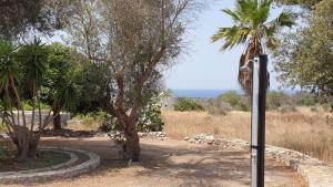 Ninfeo - Villetta Vista Mare tra Ulivi nel Salento