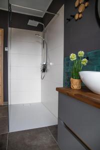 Penthouse Wohnung mit Terrasse & Sauna - Wildecker Ferienbutze