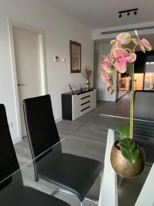 Casa Holiday Finestrat - 3 bedroom flat with common pool