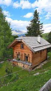 Chalet Bergliebe Turrach - تراشر هوهي