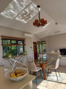 The Tropical Paradise