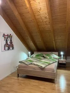 Ferienwohnung Zentral in Lörrach - KONUS Gästekarte inklusive - Wittlingen