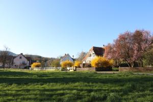 Appartements Romantik-Home Nordelsass - Ferienwohnung fur Selbstversorger : photos des chambres