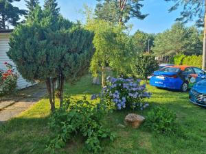 Pokoje goscinne Maciej