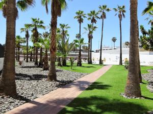 Holiday Vibes in Playa del Inglés