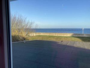 Hagelstein-III-Herzmuschel