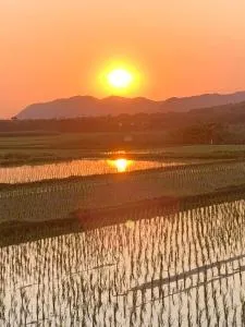 Ao to Yuuhi - Vacation STAY 34462v
