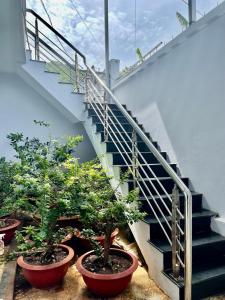 Phòng Đôi (Double Room)