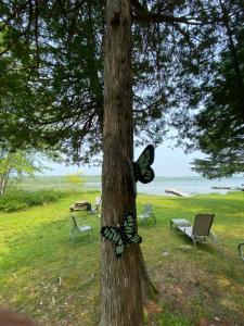 Lovely waterfront private cottage with hot tub in Kawartha Lakes
