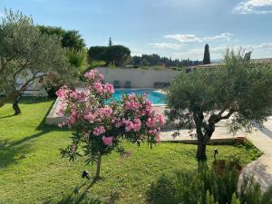 Maisons de vacances Petit paradis en Provence : photos des chambres