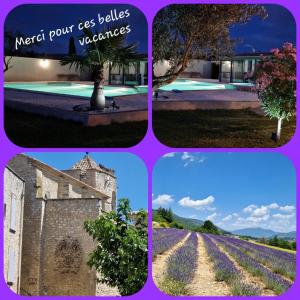 Maisons de vacances Petit paradis en Provence : photos des chambres