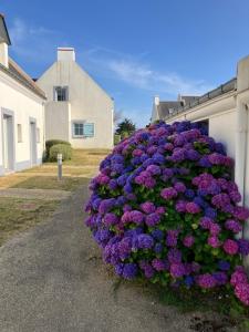 Maisons de vacances Retour de plage : photos des chambres