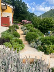 Apartman Villa Katrina