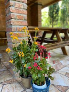 Guest House Shekvetili